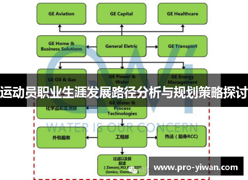 运动员职业生涯发展路径分析与规划策略探讨