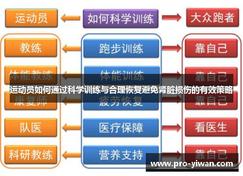 运动员如何通过科学训练与合理恢复避免肾脏损伤的有效策略 运动员如何通过科学训练与合理恢复避免肾脏损伤的有效策略